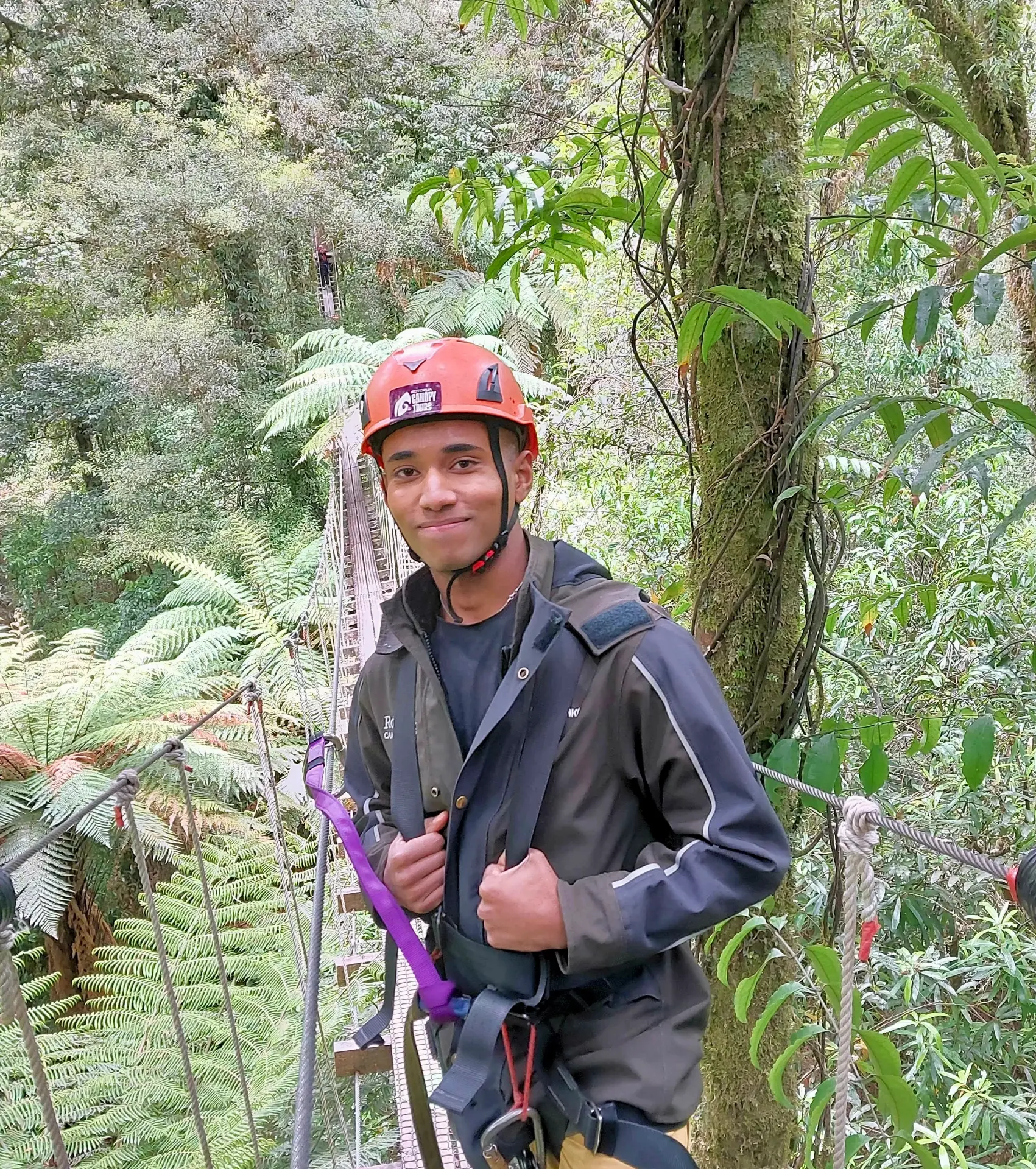 Orion Goodman in a climbing harness on a suspension bridge in a fern forest.